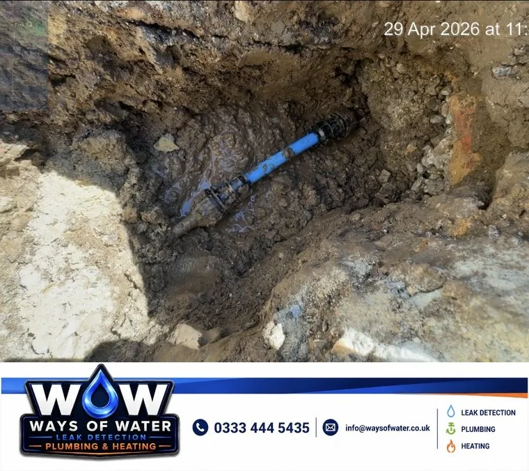 Recent WOW project 27