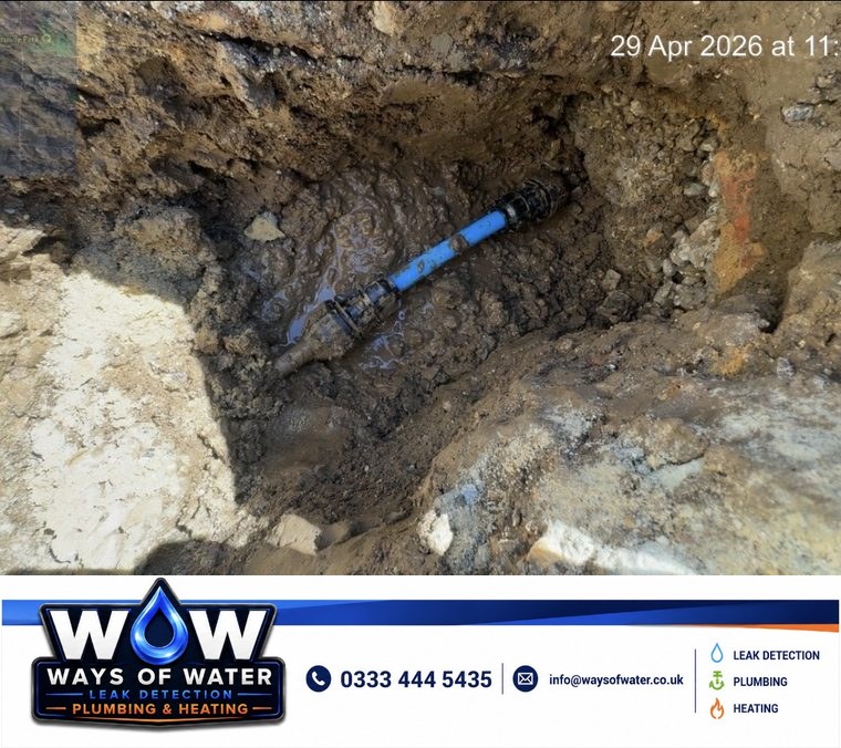 Recent WOW project 27